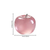 Apple Squishy Fidget Toy Set