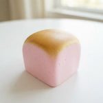 Hawaiian Roll Sensory Squishy Toy